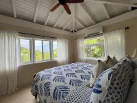 Private Pool overlooking ocean, large deck on Estate Property.  Great Privacy.