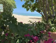 Combate Blue Village