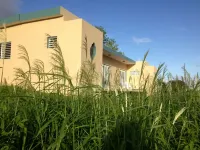 Tranquil Hillside Paradise