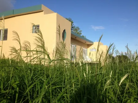 Tranquil Hillside Paradise