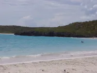 Modern Oasis On Tropical - 公寓