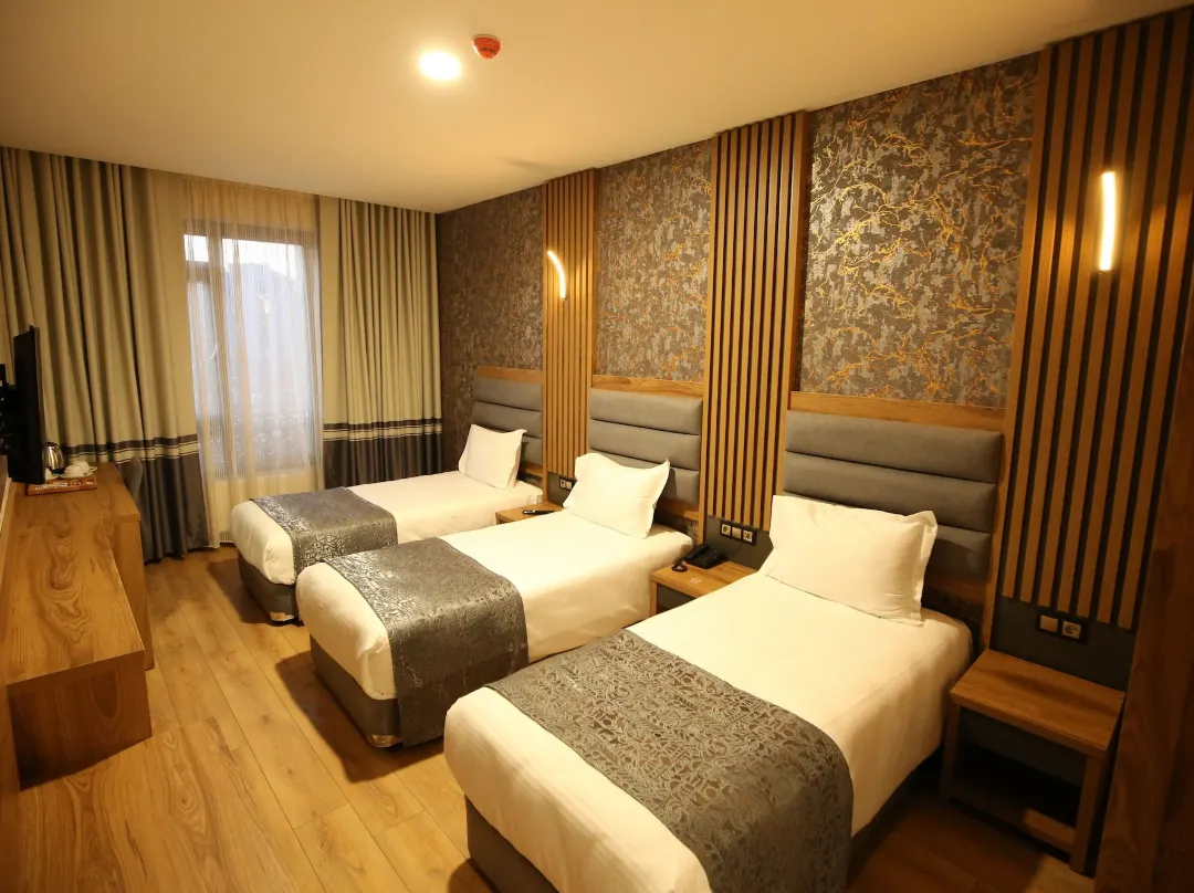 Büpa Delüxe Hotel - Kayseri