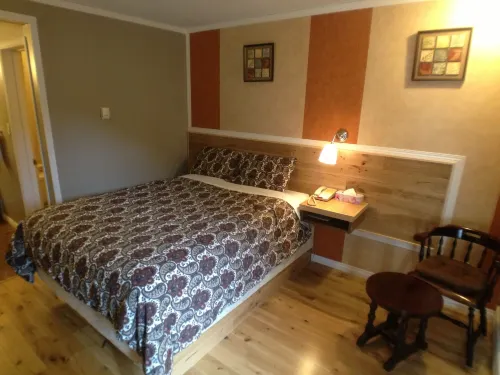Galaxy Motel - Pet friendly