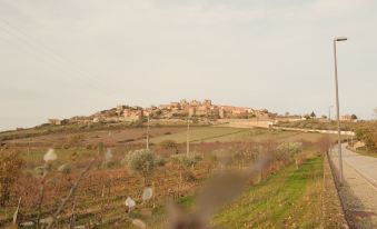 Casa da Amendoeira