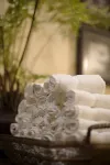 Hotel Lusitano - Spa