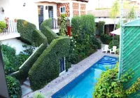 Casa Flores Bed & Breakfast - 泳池