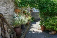 Hotel Buren Hotels in Terschelling