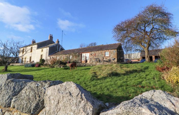 Sonya's Cottage