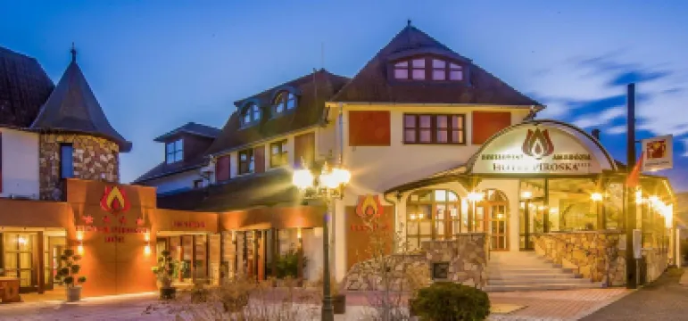 Hotel Piroska Отели в г. 