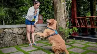 Wayanad Silverwoods Forest Resort & Spa Hotels near Banasura Sagar Dam