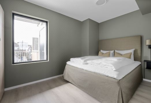 반더 - 페데르스가타