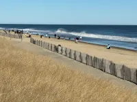 Stylish Family Beach Retreat Just Minutes from Coastal Calm
