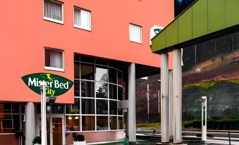 Ibis Budget Bourgoin Jallieu Centre