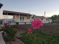 " Sun Tiny House D" Pahrump Near front  sight Hotels near GG Sweet Memorial Park