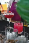 Miranove - bar