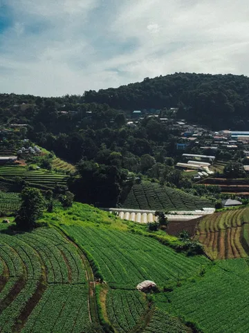 รูปภาพของไร่อมรพญา ม่อนแจ่ม เชียงใหม่