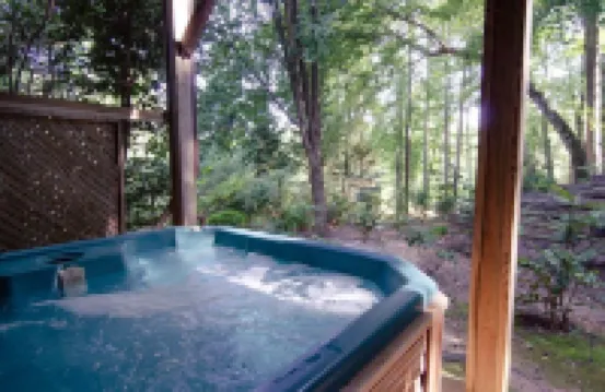Cute family cabin w/hot tub