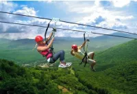 Charming Cottage in the Heart of Catskill & Pet Friendly