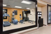 Hilton Garden Inn Auburn Riverwatch - Gym