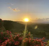 Historical One Bedroom Apartment on 11 acres, right outside of Christiansted