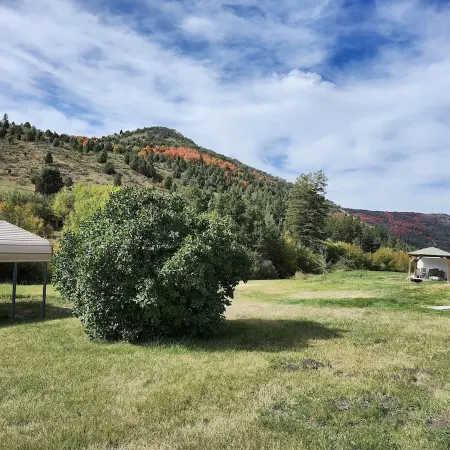 2 separate cabins, sleeps a total of 12, on 4 acres in Lava Hot Springs!!