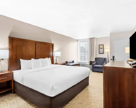 Comfort Inn University Hotels in Wilmington