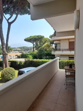 Cozy apartment near the sea and pine forest