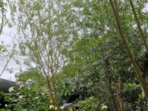 Royal Park Hotel Çorlu Çorlu otelleri