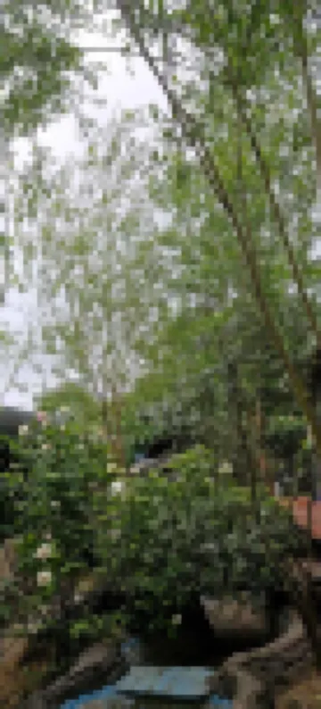 โรงแรมรอยัลพาร์คคอร์ลู