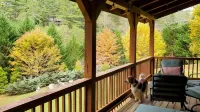 Tranquil Glen of Asheville - 20 mins from downtown