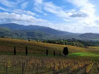 Cozy apartment nestled in the hills of Chianti Hotels in Rufina