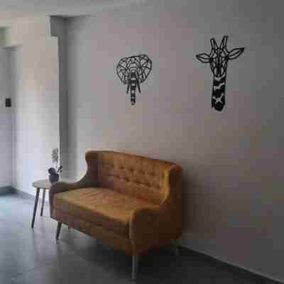 Exclusive Studio in the Best Laureles Area Others