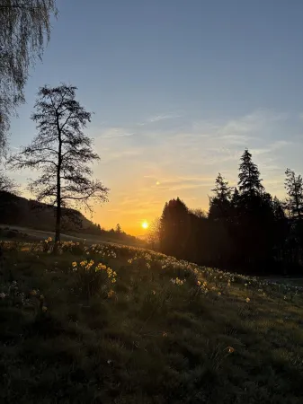 Lovely 3 Bedroom House, peaceful surrounds in Highland Perthshire- Pet Friendly!