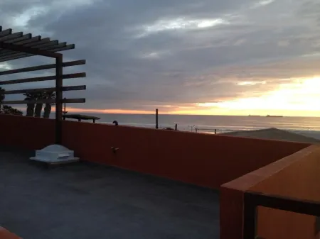 Papas & beer NEW HOME