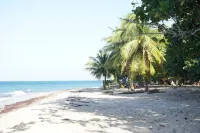 King's Landing - Forest Retreat Port Royal National Park (Camp Bay)