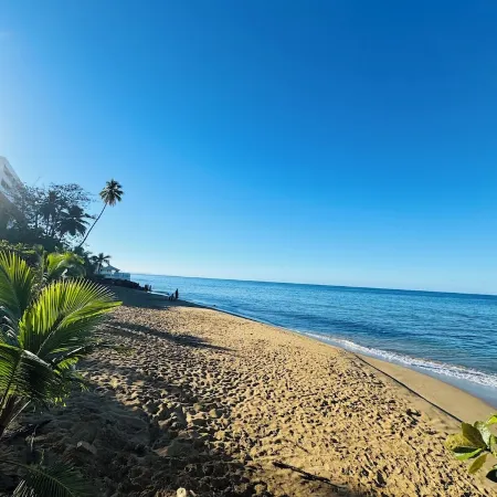 Serenity Sanctuary- 2-bedroom apartment with WiFi in Rincón