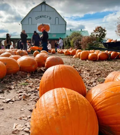 Your Home Away From Home Basement 3 Bedrooom 2 Full Washroom Отели рядом с достопримечательностью «Pearson Convention Center»
