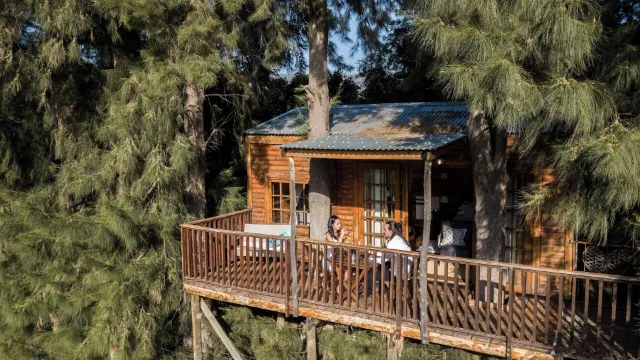 文都克斯樹屋農莊和日間水療