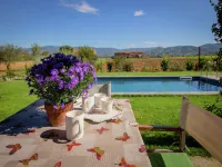 Villa in Cortona with Private Pool and Views