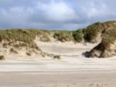 6 Person Holiday Home in Henne-by Traum