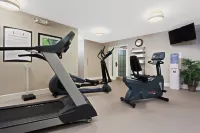 Staybridge Suites SPRINGFIELD-SOUTH by IHG - Kuntosalit