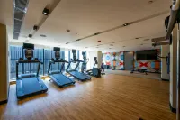 Hampton by Hilton Santiago de Los Caballeros - С тренажерным залом