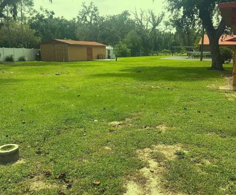 Star Motel Hotels in Seffner