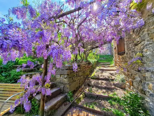 Maison d'hôtes - Mas de Boissière Hotels in Sauve