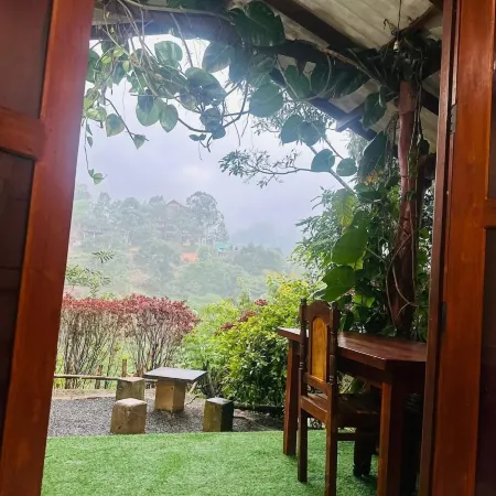 Ella Hide Forest Cottage