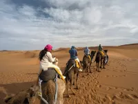 hostel SmiGle Hotels in Tamraght