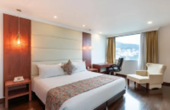 호텔 안데스 프라자  호텔