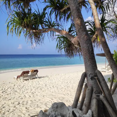 Nala Veli Beach & Spa - Wifi