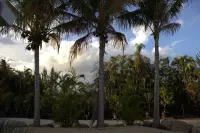 Tropical Mango Grove Stay Whiskey Creek Area - Homestays