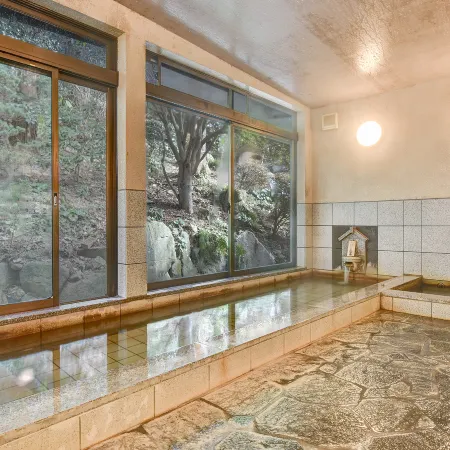 Yuzako Onsen Ryokan